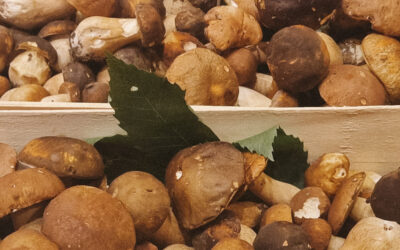 datunonsett254-4 datunonsett254-4